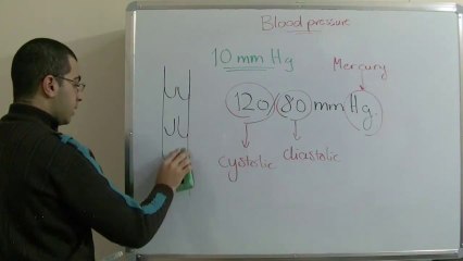 Biology - Chapter 2 - Transport - part 13 (Some facts about blood pressure) - Abdallah Reda El Sayed