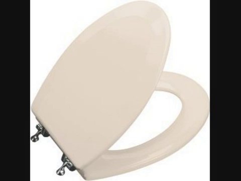 Kohler K 4722 T 55 Molded Toilet Innocent Review