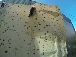 Relais 6 jaune 5C+