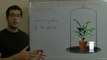 Biology - Chapter 3 - Respiration - part 10 (Green parts of the plant) - Abdallah Reda El Sayed - YouTube