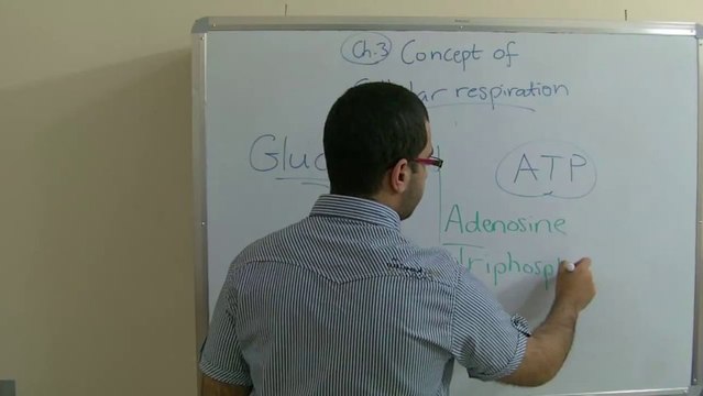 Biology - Chapter 3 - Respiration - part 1 (Cellular respiration) - Abdallah Reda El Sayed