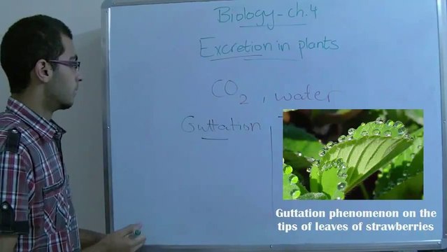 7 Biology - Chapter 4 - Excretion in plants - Abdallah Reda el Sayed