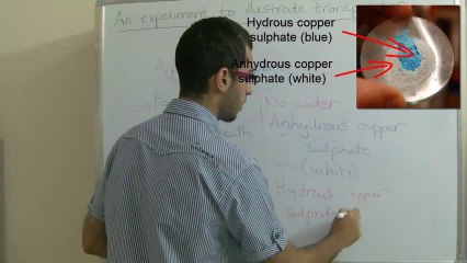 9 Biology - Chapter 4 - Experiment to illustrate traspiration - Abdallah Reda el Sayed
