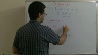 5 Biology - Chapter 4 - Liver's role in excretion - Abdallah Reda el Sayed - YouTube