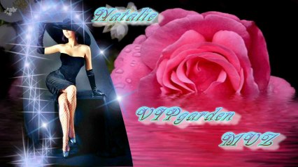 NikaDim Слова для бумаги