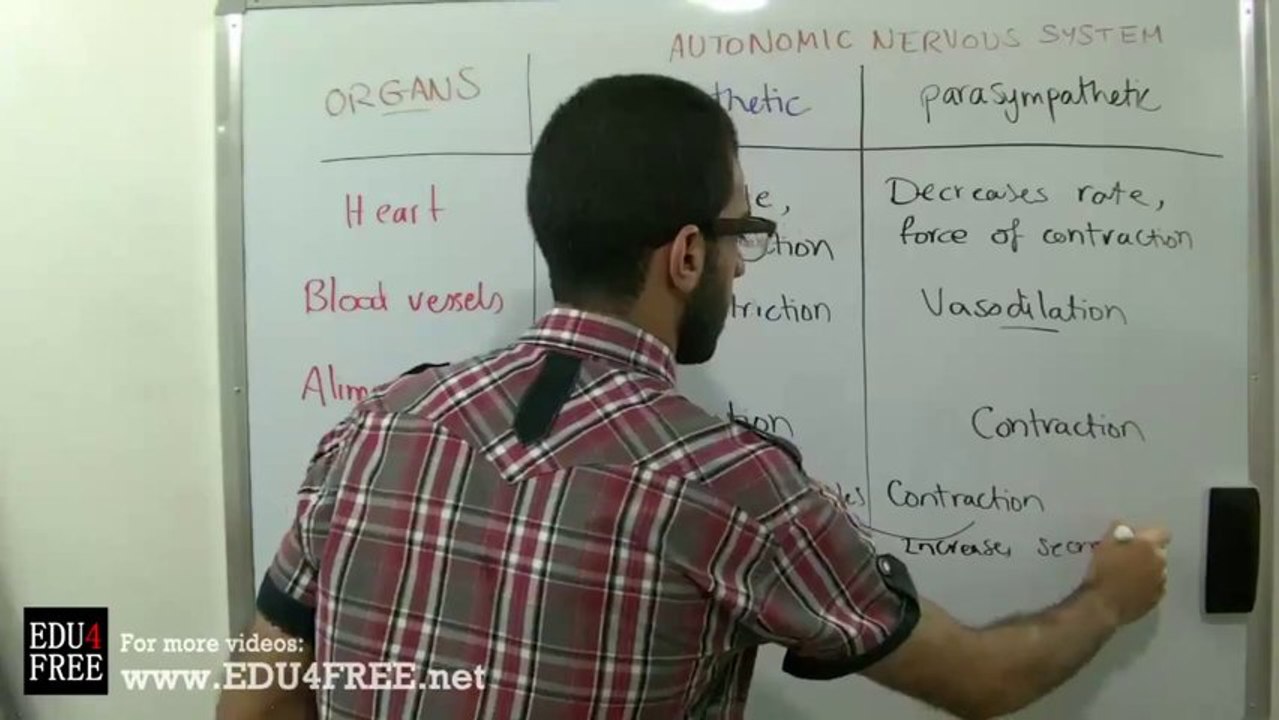 15 Autonomic Nervous System - Chapter 5 - Biology - edu4free