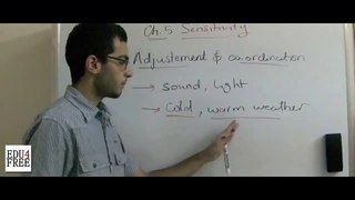 1 Biology - Chapter 5 - Intro- adjustment and coordination - Abdallah Reda el Sayed