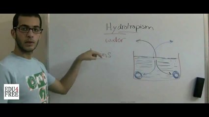 5 Biology - Chapter 5 - Hydrotropism - Abdallah Reda el Sayed