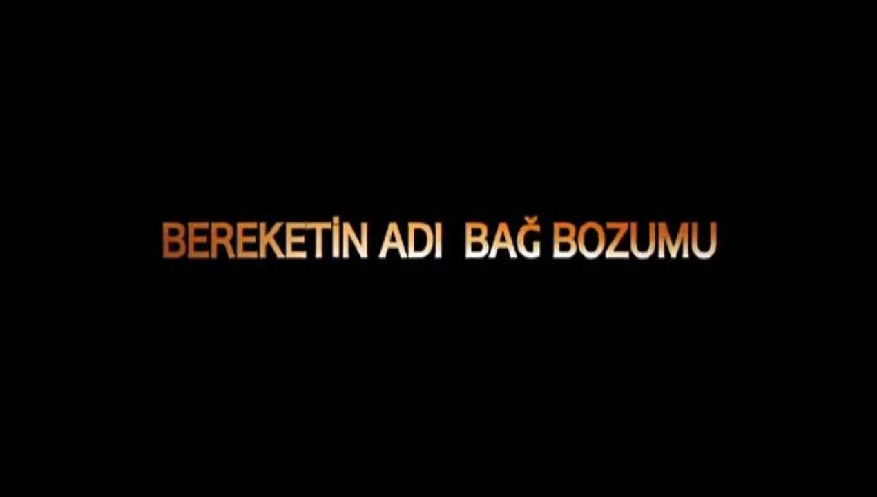 Bereketin Adı Bağbozumu