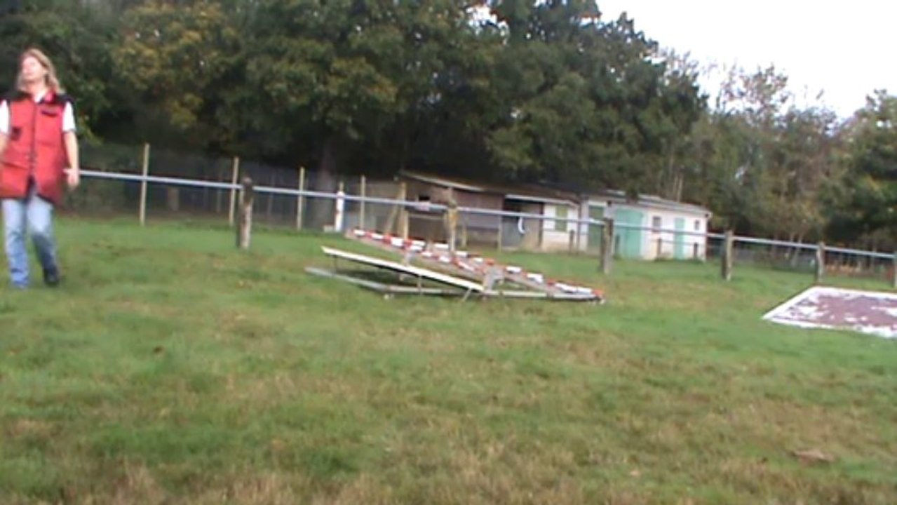 Hellboy du Domaine des Eclaireurs 11 mois