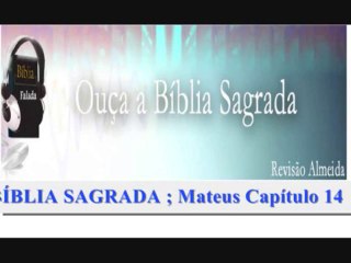 BÍBLIA SAGRADA ; Mateus Capítulo 14