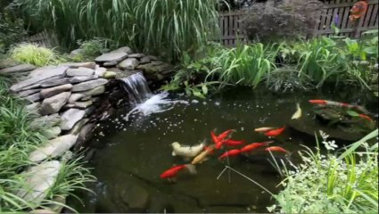 5501 Charter Oak Dr, Chesterfield, VA