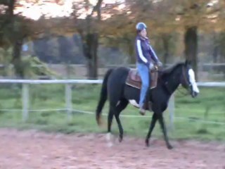 ma wash galop à 2 mains