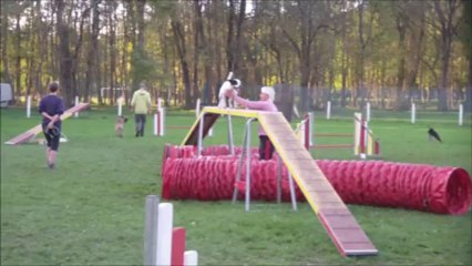 Eclipse 43rd Running Dogwalk 2013-10-26