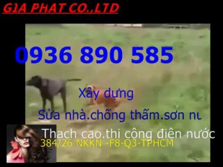 Tho chong tham dot nha o tai quan 3-DV////0936 890585