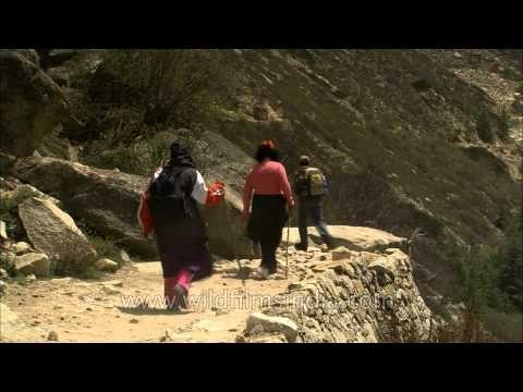 Pilgrims plod up to Kedarnath and the Char Dham