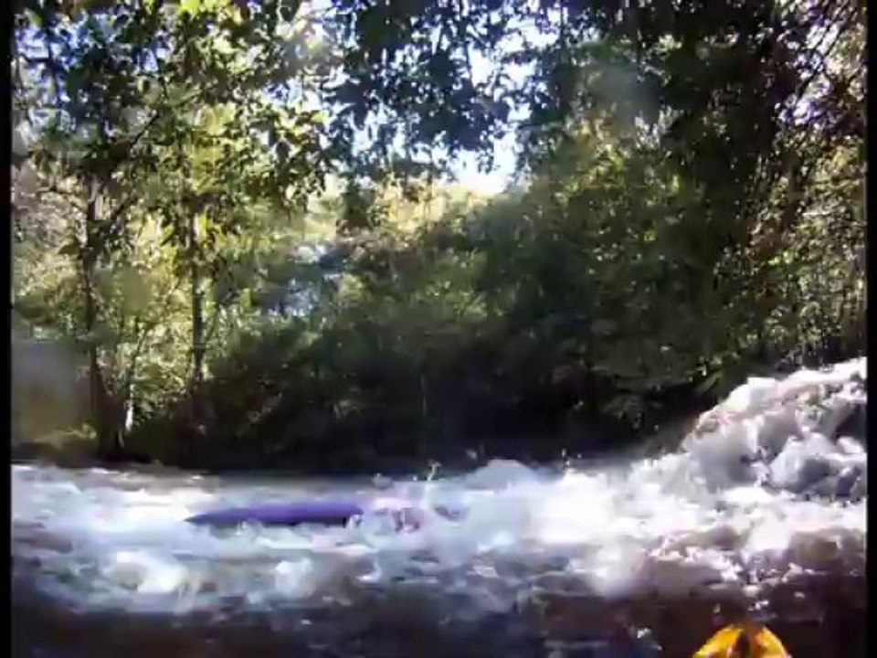 Les dessalés 2013