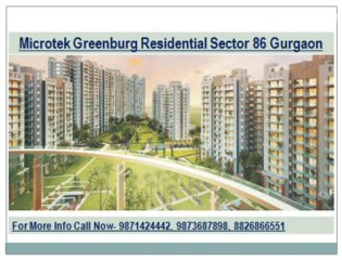 9873687898||9871424442||Microtek Greenburg Sector 86 Gurgaon||