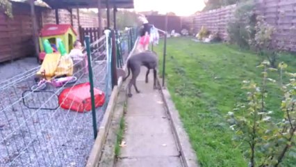 lili a la découverte de son nouveau jardin