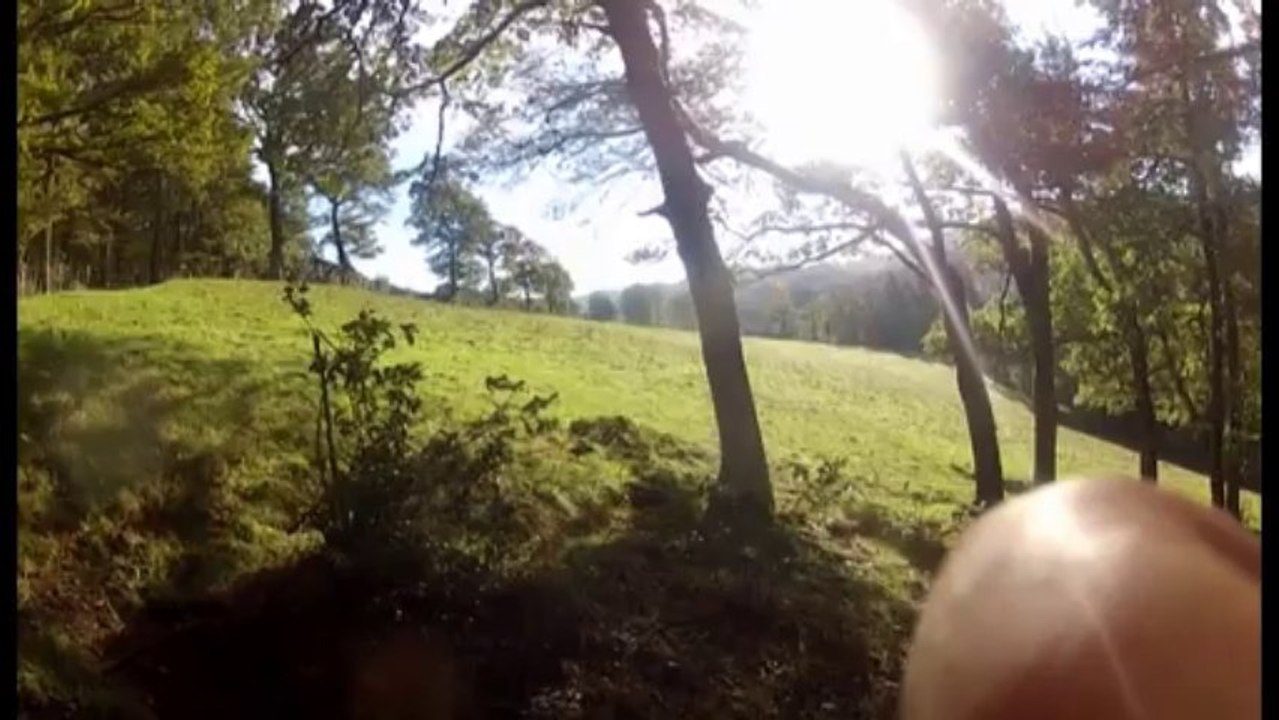 Je ne tire jamais sur des chevreuils  amitiés