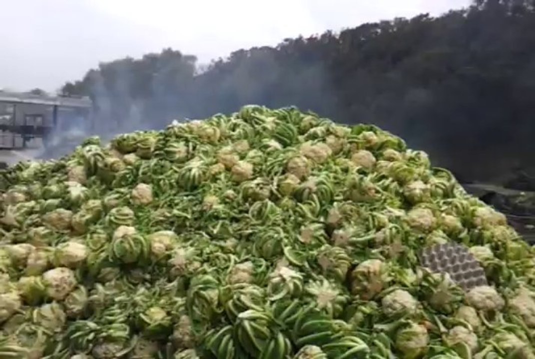 Ecotaxe. Retour sur le champ de bataille de Pont-de-Buis