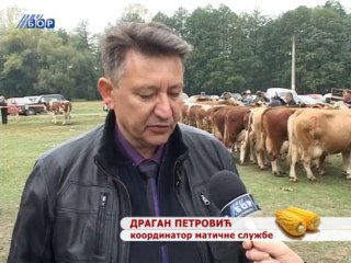 Selo moje, 27. oktobar 2013.