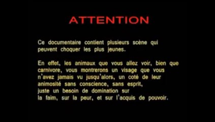 Documentaire choc Les cannibales de la savane