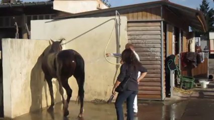 Ultime Turgot le 27/10/2013