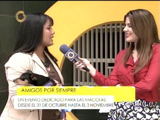 "Amigos por siempre" un evento dedicado a las mascotas de la casa