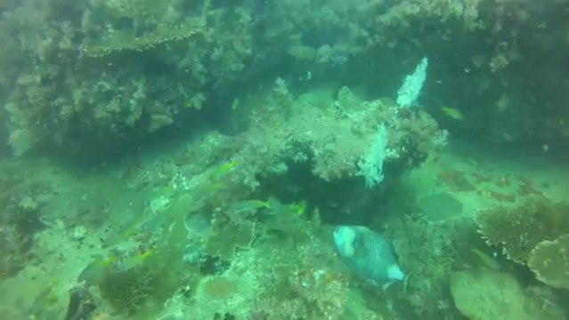 attaque baliste titan