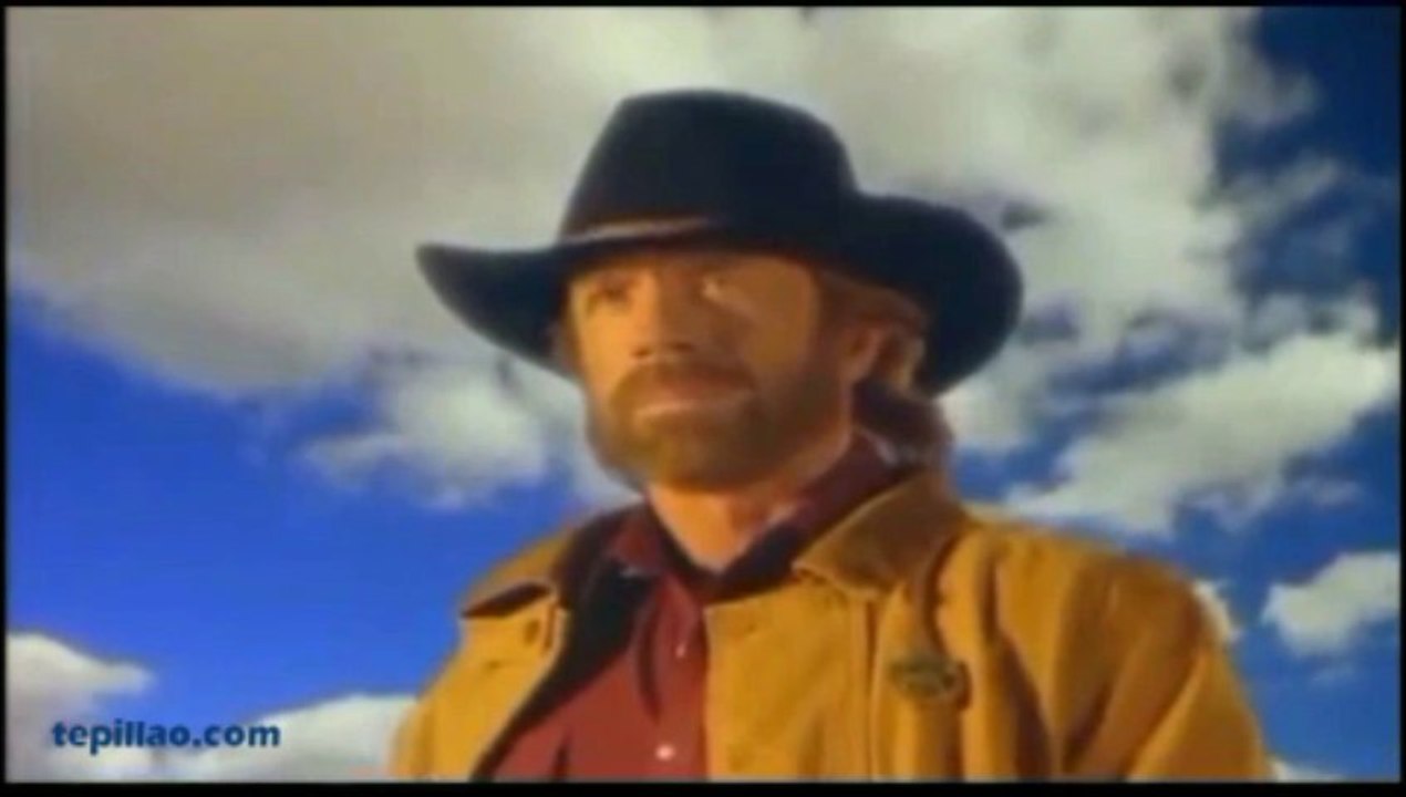 Videos de Risa: Frases y hechos graciosos sobre Chuck Norris (tepillao.com)