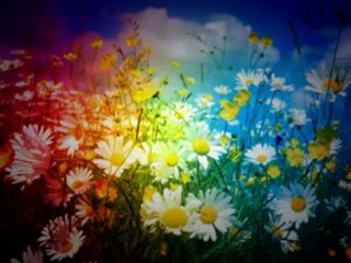 ISAIAS  CAP 11  - A BÍBLIA NA LINGUAGEM DE HOJE