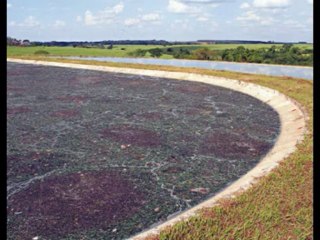 ISAIAS  CAP 15  - A BÍBLIA NA LINGUAGEM DE HOJE