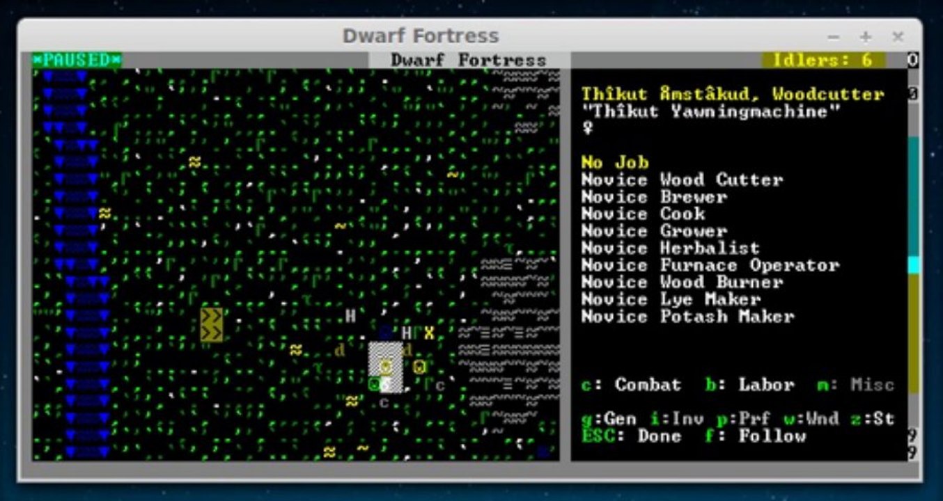 Dwarf Fortress Lets Play 2 - TheWindyRealms
