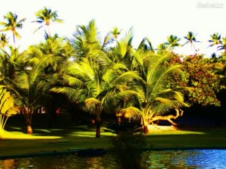 ISAIAS  CAP 24  - A BÍBLIA NA LINGUAGEM DE HOJE