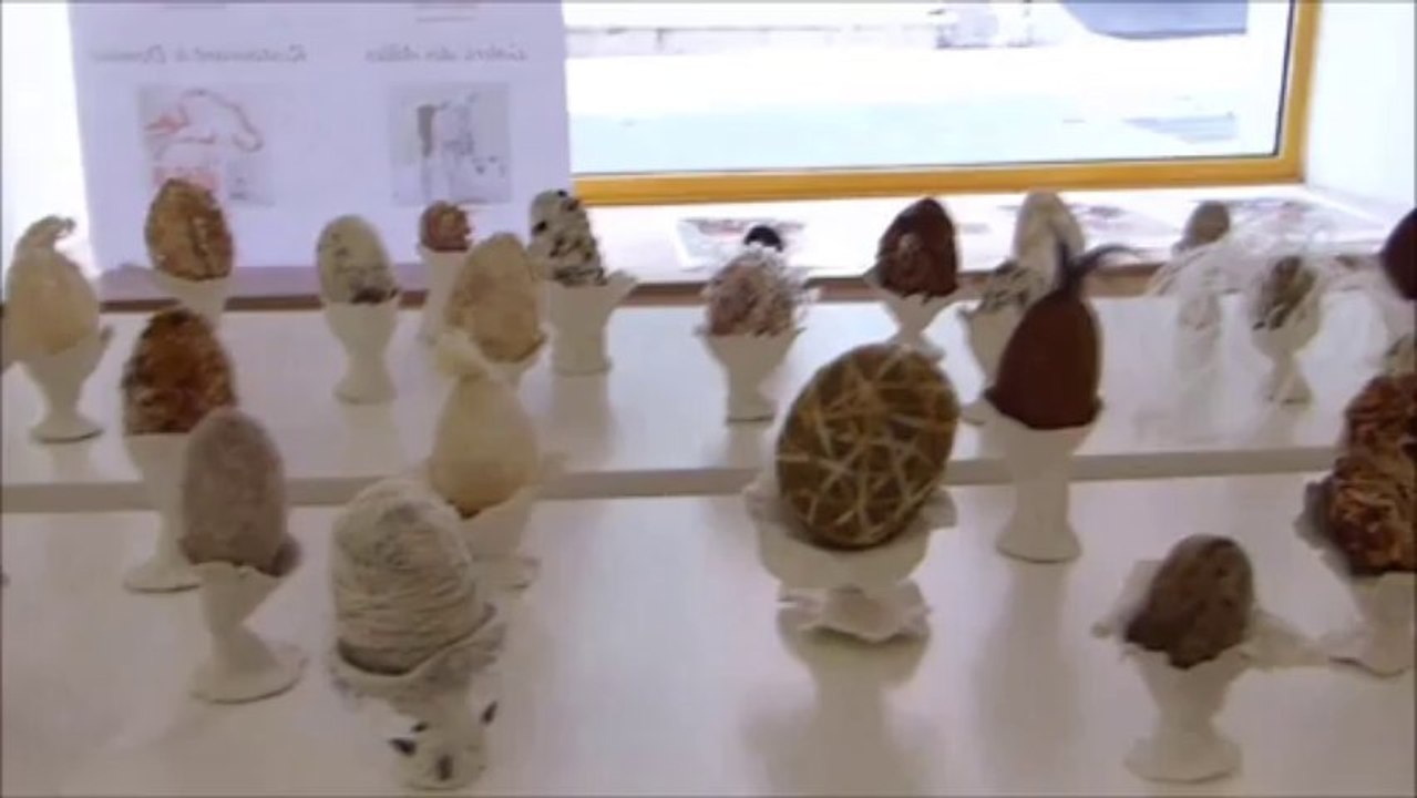 Claire Beillard 2013