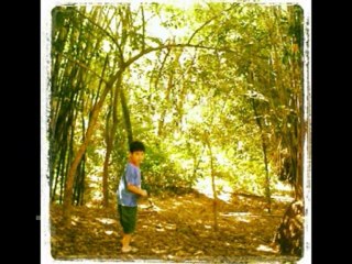 ISAIAS  CAP 27  - A BÍBLIA NA LINGUAGEM DE HOJE