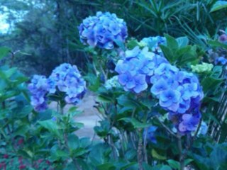 ISAIAS  CAP  30 - A BÍBLIA NA LINGUAGEM DE HOJE