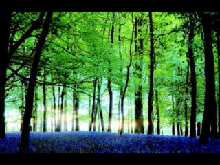 ISAIAS  CAP 32  - A BÍBLIA NA LINGUAGEM DE HOJE