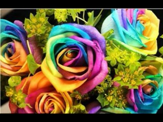 ISAIAS  CAP 35  - A BÍBLIA NA LINGUAGEM DE HOJE