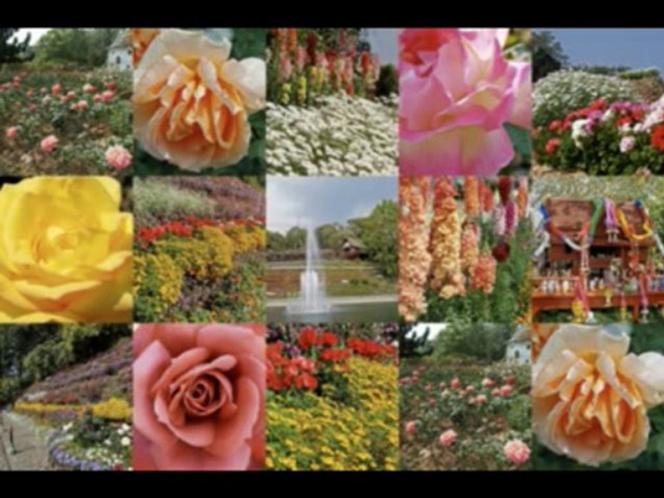 ISAIAS  CAP 43  - A BÍBLIA NA LINGUAGEM DE HOJE