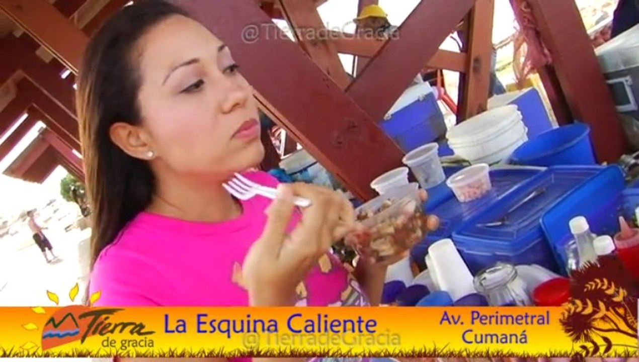 Programa Estado Sucre 01 - Primera Parte