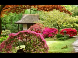 ISAIAS  CAP 49  - A BÍBLIA NA LINGUAGEM DE HOJE