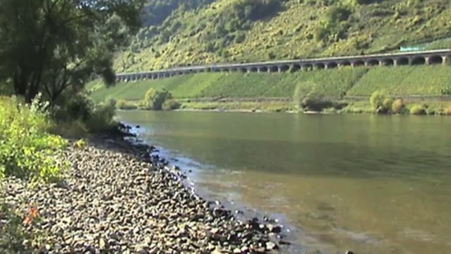 Enspannungsvideo mit Zügen und Schiffen beim Pündericher Viadukt an der Mosel, 185, 143, 426, 628