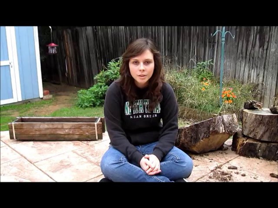 Soil formation movie2