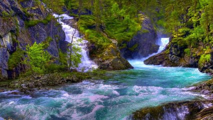 A Verdadeira Beleza: Glenn Medeiros - Long and Lasting Love 🎶 - thumbnail