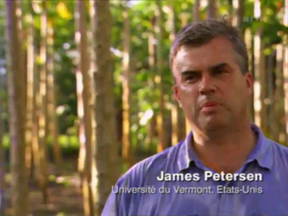 Histoire Aztèques, Incas, Mayas : À La Recherche De L'Eldorado (2002) [ARTE]