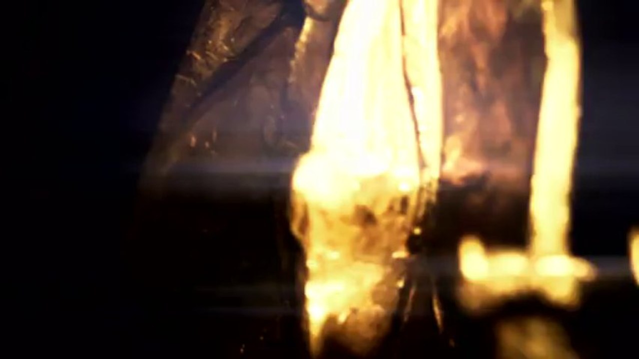 Europaeischer Kulturpreis 2013