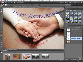 Learn Elements 10 with Step by Step Photoshop Elements 10 Tutorials