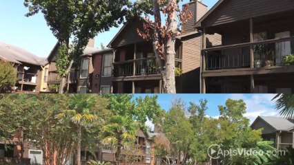 Broadmoor Apartments in Houston, TX - ForRent.com